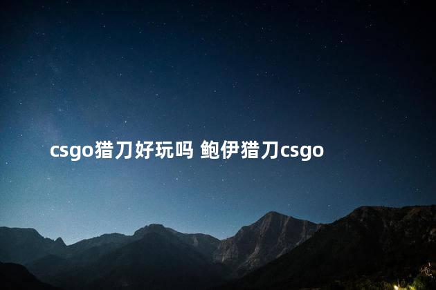 csgo猎刀好玩吗 鲍伊猎刀csgo